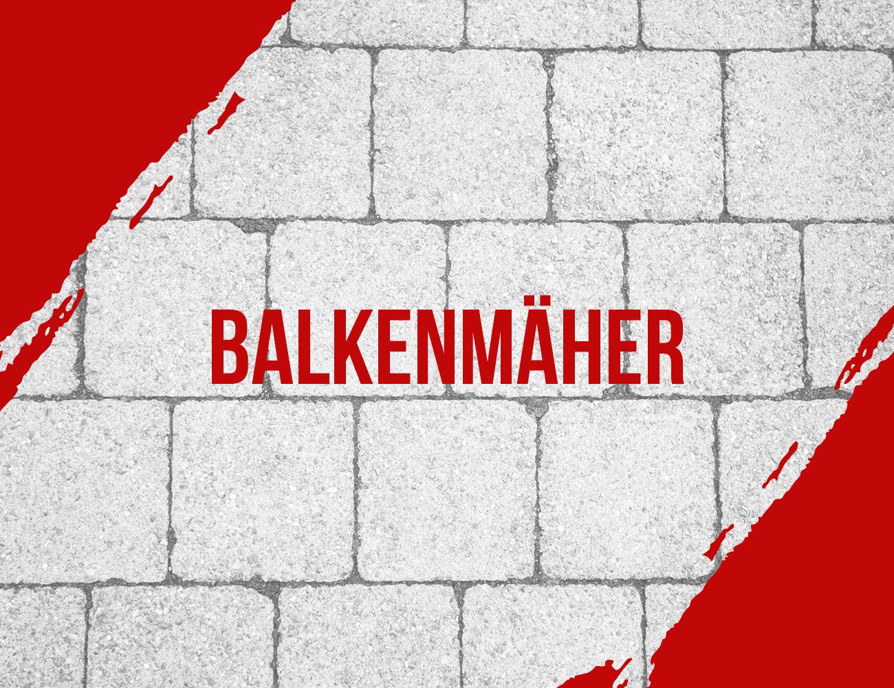 Balkenmäher von Scheppach, dargestellt auf einem grauen Steinboden mit rotem Hintergrund.